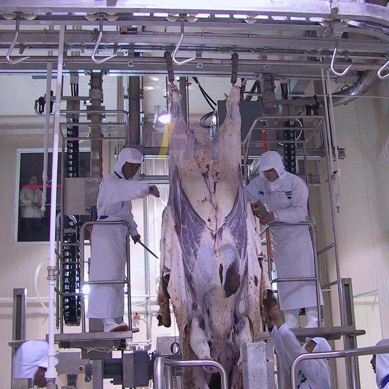 Inek derisi makinesi için basit operasyon Buffalo Abattoir ekipmanları sığır kesim işleme hattı