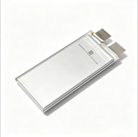 Baterai LiPo Kapasitas Tinggi 6S 25C 40Ah 45Ah 66Ah 75Ah untuk Drone Pertanian UAV Sel Solid State Lipo Cell