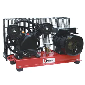 In Stock Low Price 1.1Kw 16bar Professional Gasoline Air Compressor Parts Cheap Air Compressor