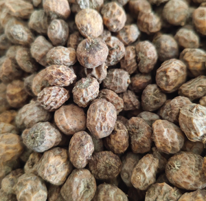 Yüksek kaliteli kurutulmuş Cyperus Esculentus Var. Sativus Boeckeler ampuller sarı Nutsedge kökleri satılık - Product Image 1