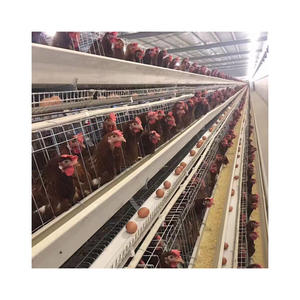 ציוד חקלאי לשמש כדי עוף עופות עיצוב בית - Product Image 6