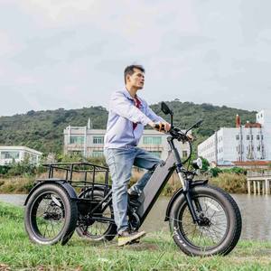Tricycle électrique 750W pour personnes à mobilité réduite, E-Trike 20 pouces, 3 roues, pour adultes, entrepôt UE, vélo cargo électrique - Product Image 1