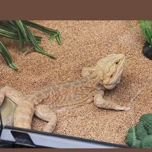 Lizard Breeding Box Creating Scenery Deodorizing Drying Polishing Climbing Sand Pet Walnut Sand Cushion Material - Product Image 1