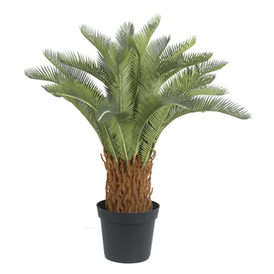 ต้นปาล์มปฏิวัติเขียวใช้ตกแต่งในร่มและกลางแจ้ง,ต้นไม้เทียม Sago Cycas สินค้าจากประเทศจีน - Product Image 2