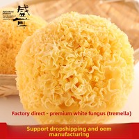 Gutian Fujian Champignons comestibles séchés Golden Tremella 20 Jin par carton Série Style Simple Vente en gros directe usine