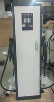 22kW*2 GB/T Tipe1/Tipe2 Dual Gun AC EV Charger Komersial RFID 44KW Stasiun Pengisian Daya WiFi 4G Aplikasi OCPP 1.6J IP55 Bersertifikasi CE Baru