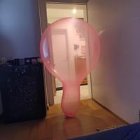 Ballons Géants 2025 XL En Gros Sexe 500 Taille Surdimensionnée Ballons Gigantesques Long Cou Looner