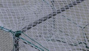 Cadre <span class=keywords><strong>en</strong></span> <span class=keywords><strong>fer</strong></span> durable Maille <span class=keywords><strong>en</strong></span> nylon Homards Moulé à la main Filet à <span class=keywords><strong>poisson</strong></span> Cage Piège à poissons pour étang extérieur Attrape aquatique - Product Image 2