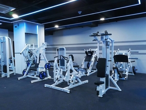 Máquina de Gimnasio Profesional de Grado Comercial Flying Bird para Entrenamiento de Deltoides Posteriores y Pectorales, Material de Acero - Product Image 6