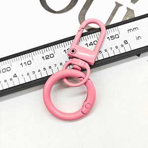2025 Metal <b>Keychain</b> - Colorful Spring Hook Keyring, Durable Alloy Lanyard with Ornamental Buckle - Product Image 6