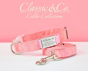 Juego de correa de collar Rosa personalizado para mascotas, collar de gato de cuero de gamuza personalizado, etiqueta de nombre de metal grabada con campana gratis, perro único - Product Image 2