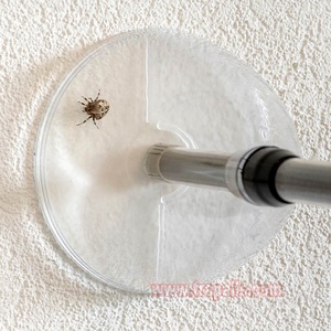 Ngoài trời trong nhà dài xử lý tái sử dụng giữ Bug đi chụp kiểm soát côn trùng bẫy nhện Catcher - Product Image 5