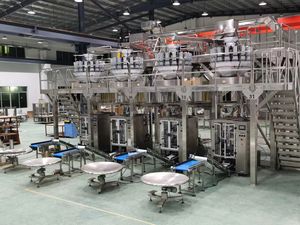 Unieke Ontwerp Z Type Emmer Lift Transportband Voor Verkoop - Product Image 6