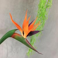 Offre Spéciale PVC souple toucher réel oiseau de paradis fleurs artificielles à vendre