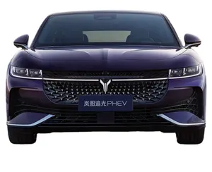 New Lan Tu Chases Light Pure electric range 260KM purple car new cars new energy vehicles