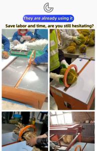 Sangles en polypropylène pour emballage de durian, vermicelles, légumes verts, coriandre, oignon vert, bouquets de roses - Product Image 3