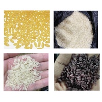 Ligne de production de riz artificiel fortifié, machine à fabriquer le riz extrudé pour la production de riz nutritif sans cuisson