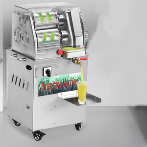 Extractor de Jugo de Caña de Azúcar de Acero Inoxidable a Bajo Precio con Motor de 450W 220/380V para Uso Doméstico - Product Image 4