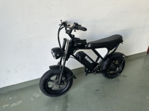 Ridstar Q16 EU Kho 1000W 48V 20Ah Chất Béo Lốp Ebike Trung Tâm Động Cơ MTB Xe Đạp Điện Leo Núi Bụi Bẩn Xe Máy Lai Người Lớn E Xe Đạp - Product Image 2