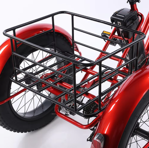 Nouveau Tricycle Électrique de Haute Qualité avec Moteur Brushless, <span class=keywords><strong>pour</strong></span> le Transport de Marchandises, Vélo à Pédales Ordinaire Spécialisé, Bestseller - Product Image 4