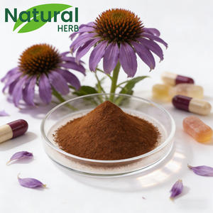 Chiết xuất cây hoa cúc tây tự nhiên 4% Polyphenols, thực phẩm bổ sung thảo dược, đạt chứng nhận <span class=keywords><strong>GMP</strong></span>, nhà máy đạt chuẩn ISO, hỗ trợ miễn dịch - Product Image 1