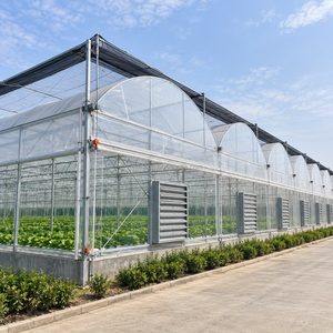 Solución Comercial Personalizada Llave en Mano: <span class=keywords><strong>Invernadero</strong></span> Multicapa con Doble Cubierta y Diseño 2D/3D para Cultivo de Tomate y Lechuga - Product Image 1
