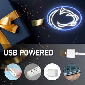USB Powered Dimmable 15,2 \ "* 10,8 \" LED Neon Light Sign Pen State Team Sign para la decoración de la habitación deportiva para el hombre Cave Wall Decor Sign - Product Image 2
