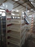 Cage d'élevage de cailles en plastique professionnelle à 6 couches avec collecte d'oeufs/cages à cailles HJ-QC400B