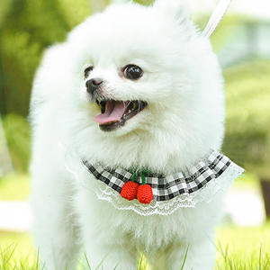 Correa de Tracción para Mascotas, Arnés Antirrotura Tipo Chaleco para Perros Pequeños y Medianos, Correa para Gatos, Venta al por Mayor - Product Image 4