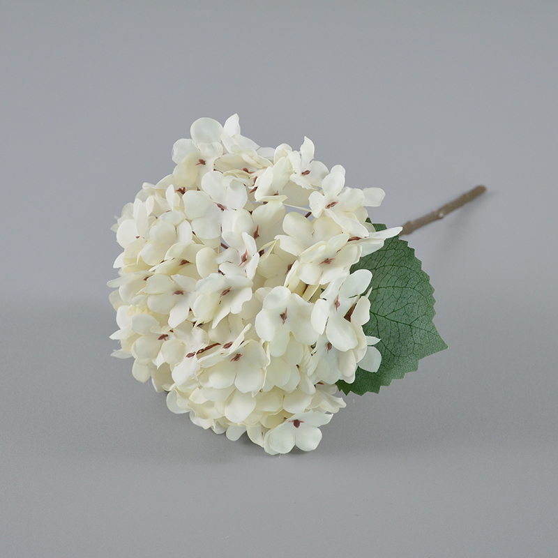 Autumn white