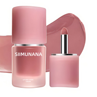 Gloss à lèvres hydratant personnalisé, rouge à lèvres non collant et brillant, et huile à lèvres aromatisée aux fruits pour les lèvres sèches pour hydrater et nourrir