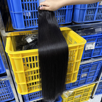 Cheveux Vietnamiens Bruts Non Traités de Qualité Supérieure – Tissages de Cheveux Vierges à Donneur Unique – Lots de Cheveux Raides Bruts – Vente en Gros pour Salons