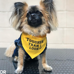 Bandana pour chien ajustable unisexe, mouchoir triangle, bavoir jaune imprimé «Born Run», accessoire de vêtements pour animaux de compagnie lavable et mignon - Product Image 5