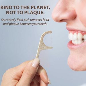 Il filo interdentale di amido di mais ecologico confezionato su misura raccoglie materiale di carbone di bambù aromatizzato alla menta vegana - Product Image 2