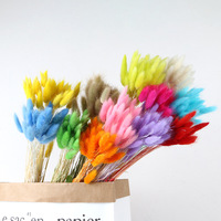 Herbe de queue de lapin séchée - Bouquets de fleurs naturelles préservées pour accessoires photo, décoration de mariage et événements (30/60 pièces)