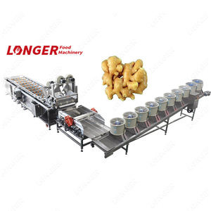 Nhà Máy Giá Tươi Gừng Rễ Máy Giặt Và Máy Sấy Gừng Máy Giặt Manufatcurers - Product Image 1
