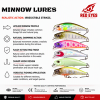 Leurre de pêche REDEYES Minnow pour ruisseau, rivière, lac - 4,6 cm 3g, leurre dur artificiel avec hameçons pour la perche