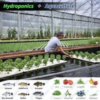 Cowater Système d'Aquaponie d'Élevage de Poissons en Intérieur Culture Hydroponique avec Laitues et Tilapias État Neuf Ferme de Légumes et de Poissons