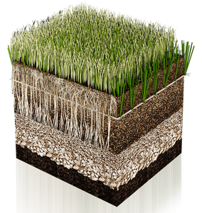Nuevo tipo de <span class=keywords><strong>césped</strong></span> híbrido para estadios, campos deportivos, campo de fútbol - Product Image 1