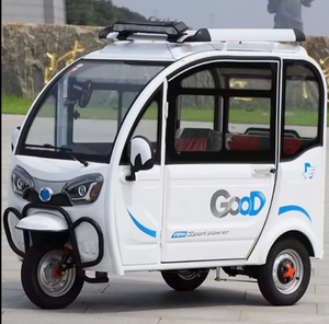 Triciclo de pasajeros barato de 4 puertas y 3 asientos, scooter de cabina cerrada, motocicleta de tres ruedas, triciclo eléctrico Tuktuk para adultos - Product Image 4