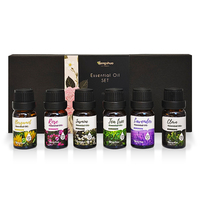 Ensemble d'huiles essentielles compactes en flacon de 10 ml, faciles à transporter, parfum léger pour la diffusion en voyage et les soins après la douche.