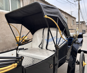 Carruajes Turísticos Victoria a Precio de Fábrica, Transporte Especial Eléctrico para Bodas, Carruajes Turísticos en Venta - Product Image 4
