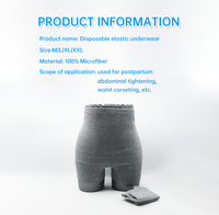 Sous-vêtement post-partum femme gris sans couture extensible post-partum culotte slip élastique sous-vêtement jetable Boyshort