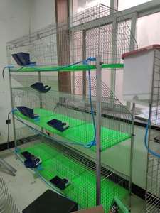 <strong>12</strong> to 14kg Breeding Rabbits Cages Commodity Big Plant Mother Baby Female Cage with <strong>Nest</strong> <strong>Box</strong>/commercial Rabbit Cage with 9 Cells - Product Image 5