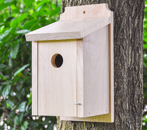 Petite maison pour oiseaux en bois naturel <span class=keywords><strong>avec</strong></span> motif animal, style tendance, fermeture à bouton, design coupe-vent, forme de trou d'arbre - Product Image 5