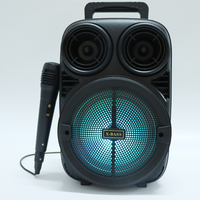Haut-parleur portable OEM/ODM avec microphone et lumière LED pour karaoké, idéal pour les fêtes à domicile et l'intérieur