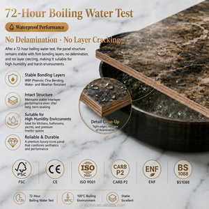 Panel de Madera Contrachapada de Abedul Resistente al Agua, Panel Decorativo de Piedra de Lujo <span class=keywords><strong>para</strong></span> Paredes Exteriores, Ideal <span class=keywords><strong>para</strong></span> Proyectos de <span class=keywords><strong>Duchas</strong></span> y Spas en Yates - Product Image 2