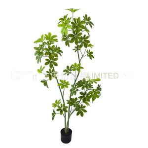 Planta verde en maceta de madera de pie de pato artificial al por mayor para decoración de interiores para paisajismo y diseño de madera borracha caballo - Product Image 3