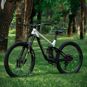 Vélo de montagne à suspension intégrale Fasterwork Soft Tail Dh Bike Shinamo 11 vitesses en aluminium 27,5 29 pouces - Product Image 5