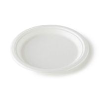 Assiettes rondes jetables en bagasse de canne à sucre biodégradable, blanches, pour fêtes, tailles 9''/10''/12''